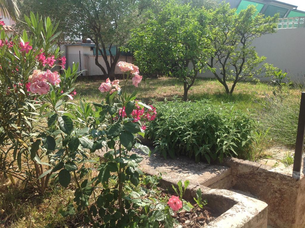 Apartmán Boglic Umag
